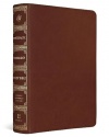 ESV Systematic Theology Study Bible - Trutone Chestnut